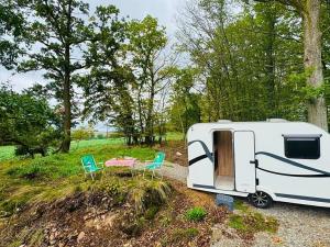 Prodej lesa, Postupice, 1363 m2