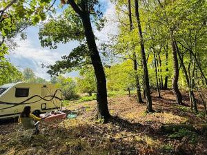 Prodej lesa, Postupice, 1363 m2