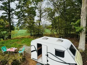 Prodej lesa, Postupice, 470 m2