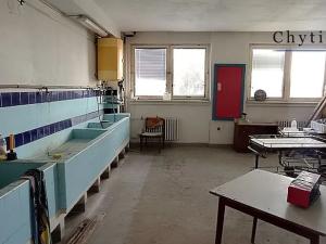 Prodej komerční nemovitosti, Kojetín, 1600 m2