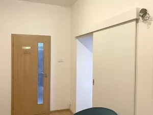 Pronájem obchodního prostoru, Praha - Smíchov, Štefánikova, 42 m2