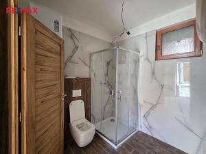 Prodej bytu 2+kk, Třeština, 60 m2