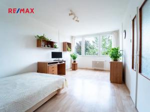 Pronájem bytu 1+1, Kolín, Na Magistrále, 37 m2