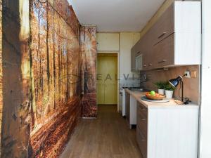 Prodej bytu 1+1, České Budějovice, Kubatova, 50 m2