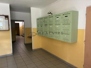 Prodej bytu 1+1, České Budějovice, Kubatova, 50 m2