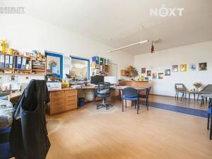 Prodej výrobních prostor, Břeclav, Hraniční, 1917 m2