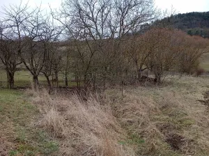 Dražba rodinného domu, Heroltice, 248 m2