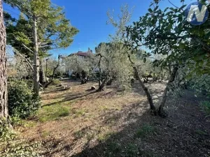 Prodej vily, Monte San Savino, Itálie, 250 m2