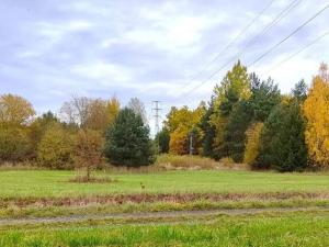 Prodej louky, Rokycany, K Lopatárně, 4651 m2