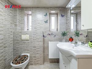 Prodej vily, České Velenice, Komenského, 247 m2