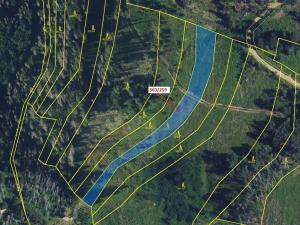 Dražba lesa, Spešov, 2318 m2