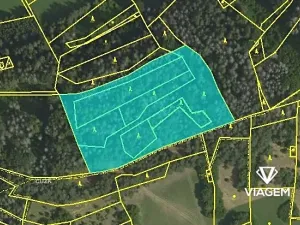 Prodej podílu lesa, Koroužné, 3262 m2
