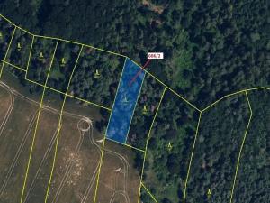 Dražba lesa, Přemyslovice, 1381 m2