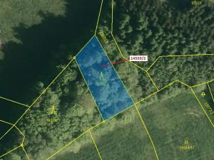 Dražba lesa, Hovězí, 605 m2