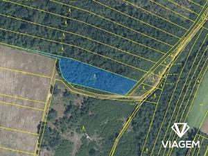 Prodej podílu lesa, Rybníky, 2697 m2