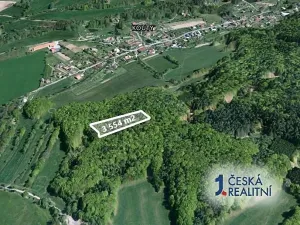 Prodej podílu lesa, Kouty, 1777 m2