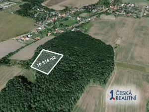 Prodej podílu lesa, Hrdlív, 2102 m2