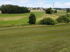 Dražba louky, Sobíňov, 7578 m2