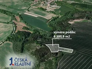 Prodej podílu lesa, Trhový Štěpánov, 6300 m2