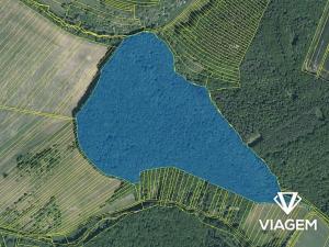 Prodej podílu lesa, Pašovice, 27921 m2