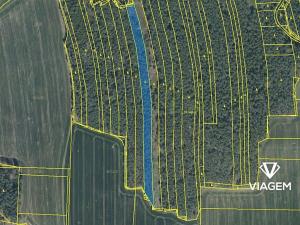 Prodej podílu lesa, Koloveč, 2021 m2