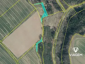 Prodej podílu lesa, Doksy, 4410 m2