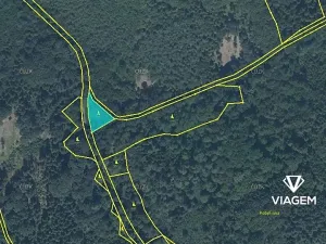 Prodej podílu lesa, Hrabyně, 20047 m2