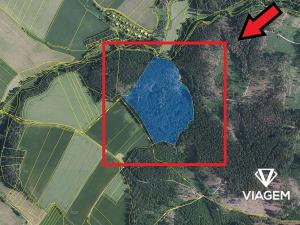 Prodej podílu lesa, Katov, 3762 m2