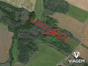 Prodej lesa, Kouty, 5020 m2