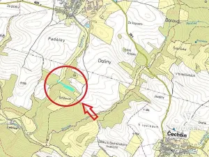 Prodej lesa, Kouty, 5020 m2