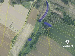 Prodej podílu lesa, Věžnice, 453 m2