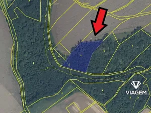 Prodej podílu lesa, Bítov, 3512 m2