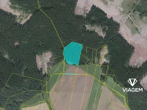 Prodej podílu lesa, Buková, 821 m2