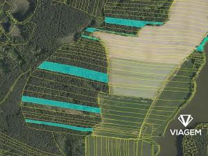 Prodej podílu lesa, Olešnice, 3009 m2