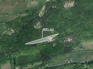 Prodej lesa, Bratřejov, 4091 m2