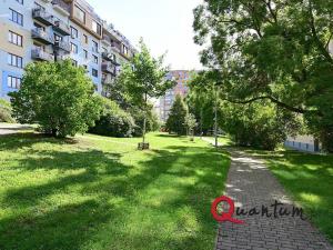 Pronájem bytu 1+kk, Praha - Žižkov, Květinková, 37 m2