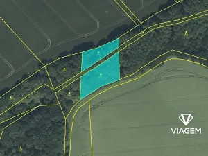 Prodej podílu pole, Mladějov na Moravě, 1655 m2