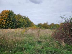 Dražba zahrady, Brno, 1156 m2