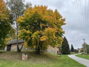 Prodej rodinného domu, Blažejov, 600 m2