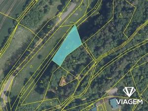 Prodej podílu lesa, Kněžmost, 1570 m2