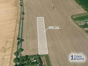 Prodej podílu pole, Vitčice, 3268 m2