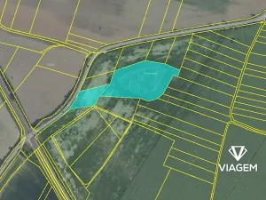 Prodej podílu pole, Libenice, 1724 m2