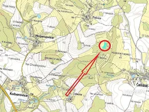 Prodej podílu lesa, Kaliště, 2503 m2