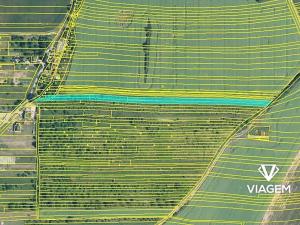 Prodej zahrady, Moravany, 4453 m2