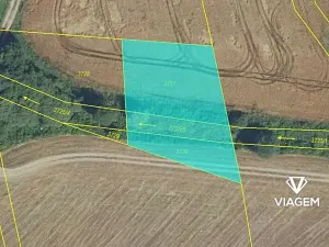 Prodej pole, Nový Malín, 1413 m2