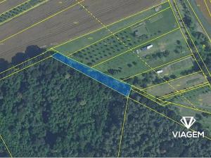 Prodej podílu lesa, Březolupy, 446 m2