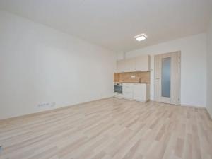 Pronájem bytu 1+kk, Praha - Michle, Krnkova, 33 m2