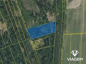 Prodej podílu lesa, Břehov, 3796 m2