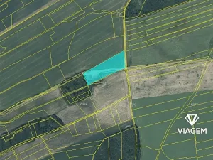 Prodej podílu pole, Skotnice, 4210 m2