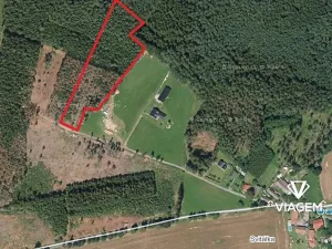 Prodej podílu lesa, Krásná Hora, Kojkovice, 2716 m2